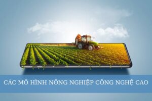 Các mô hình trong nông nghiệp công nghệ cao