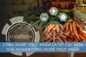 Các môn học ngành Công nghệ thực phẩm