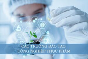 Các trường đào tạo Công nghệ thực phẩm
