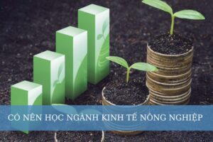 Có nên học ngành kinh tế nông nghiệp