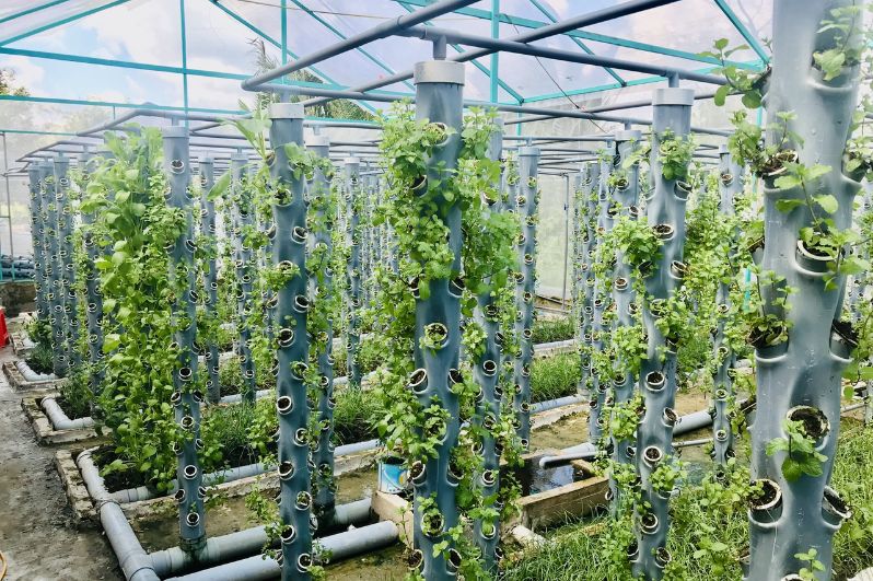 Mô hình khí canh nông nghiệp hiện đại