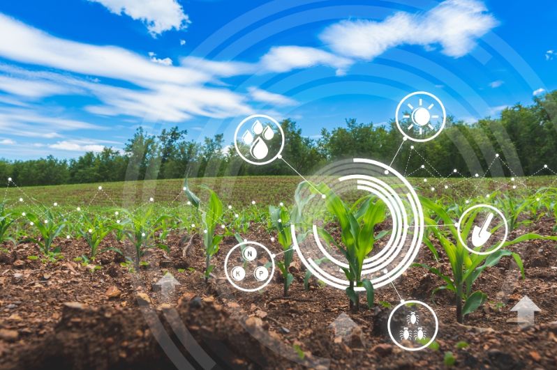 Nên lựa chọn học văn bằng thứ 2 Nông nghiệp công nghệ cao ở đâu