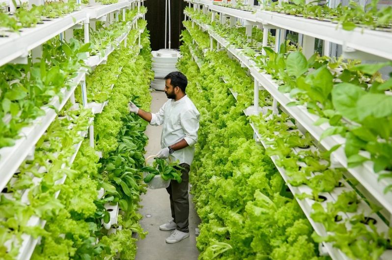 Thời gian học văn bằng thứ 2 Nông nghiệp công nghệ cao từ 2-2,5 năm