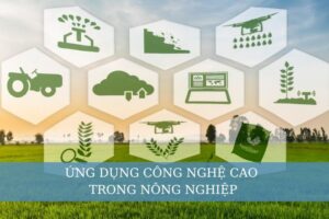 Ứng dụng công nghệ cao trong nông nghiệp