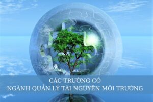 các trường có ngành Quản lý tài nguyên môi trường