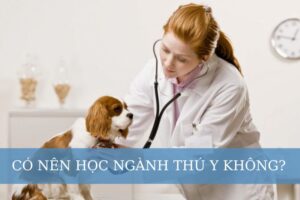 Có nên học ngành Thú y không?
