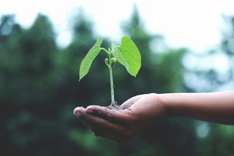 Ngành Quản lý tài nguyên và môi trường chủ yếu xét tuyển khối A