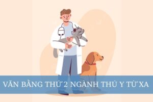 Văn bằng thứ 2 ngành thú y từ xa