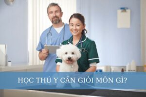 học thú y cần giỏi môn gì
