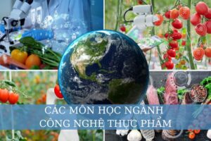 các môn học ngành công nghệ thực phẩm