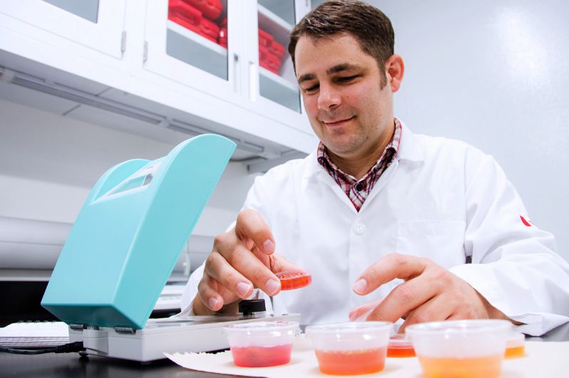 Các môn học ngành Công nghệ thực phẩm cần biết