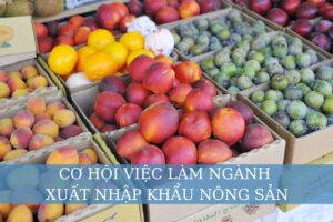 Cơ hội việc làm ngành xuất nhập khẩu nông sản