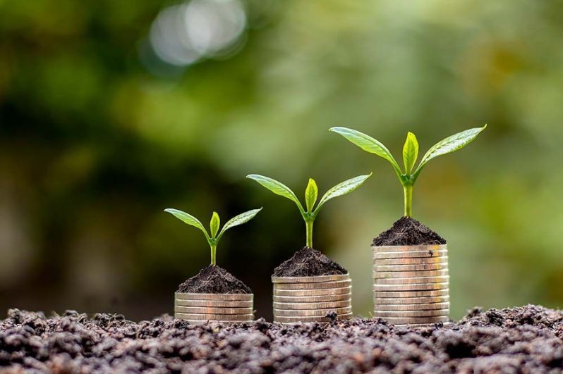 Định hướng phát triển Kinh tế nông nghiệp