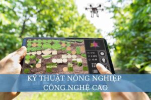 kỹ thuật nông nghiệp công nghệ cao