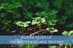 ngành quản lý tài nguyên và môi trường