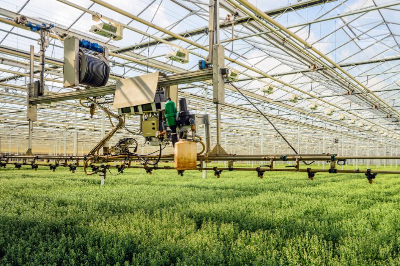 Những mô hình nông nghiệp công nghệ cao trong trồng trọt