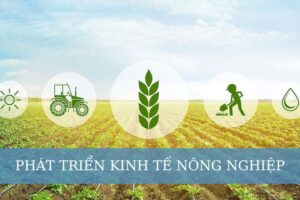 phát triển kinh tế nông nghiệp