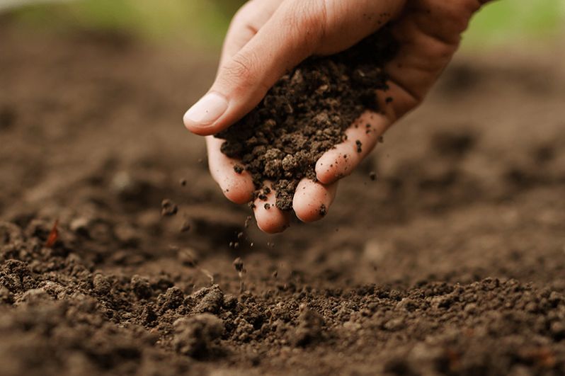 Quản lý đất đai là ngành học nghiên cứu về việc sử dụng bảo vệ và phát triển tài nguyên đất đai