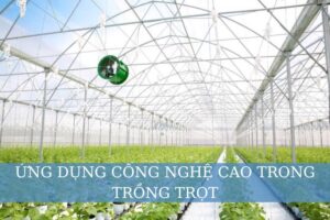 ứng dụng công nghệ cao trong trồng trọt
