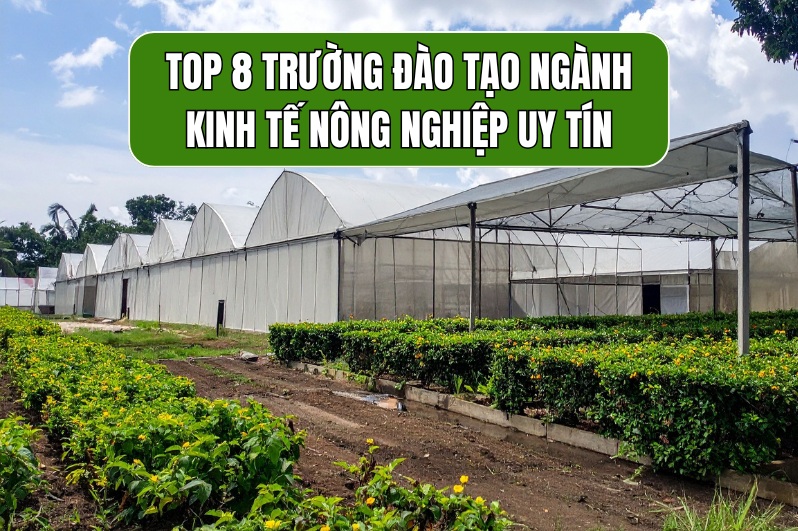 ngành kinh tế nông nghiệp học trường nào
