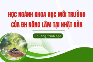 Học ngành Khoa học môi trường của ĐH Nông Lâm tại Nhật Bản