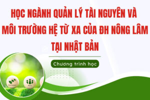 Học ngành quản lý tài nguyên và môi trường hệ từ xa tại Nhật Bản