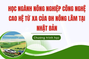 học ngành nông nghiệp công nghệ cao hệ từ xa tại nhật bản