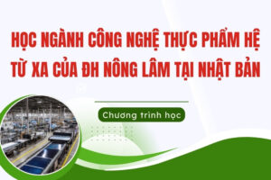 Ngành Công nghệ thực phẩm hệ từ xa tại Nhật Bản