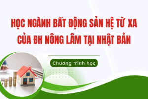Học Bất động sản hệ từ xa tại Nhật Bản