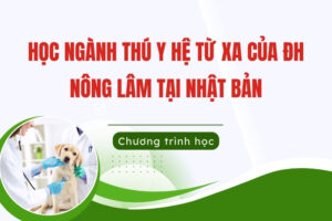 Học ngành Thú y hệ từ xa tại Nhật Bản