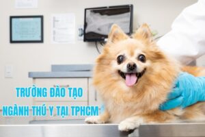 ngành thú y học trường nào ở tphcm