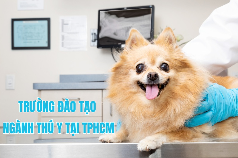 ngành thú y học trường nào ở tphcm